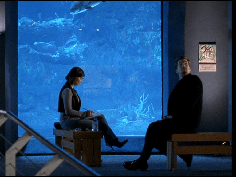 vlcsnap-2017-11-23-18h14m07s445